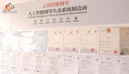 銀發創業傳奇 傾盡家產鑄琴魂，兩年破兩億的跨界逆襲